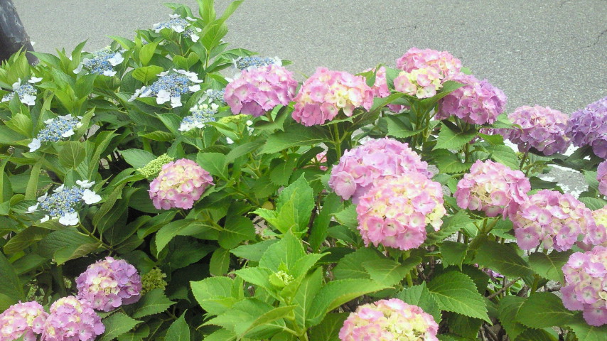 f0147604_2315911.jpg