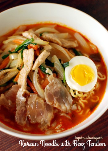 Beef Tendonと韓国ラーメン_b0253205_1252579.jpg