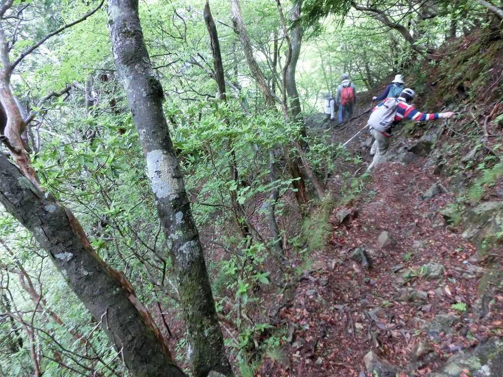 岩黒山・筒上山・手箱山　周遊_b0124306_14215592.jpg