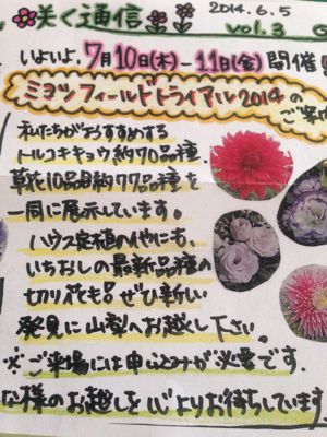 なおの花咲く通信_d0099708_11595818.jpg