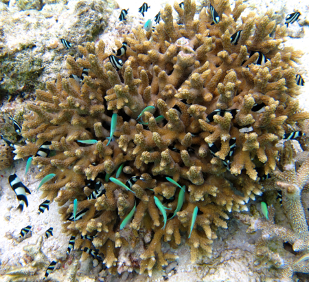 d0298808_10333940.jpg