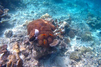 d0298808_11243344.jpg