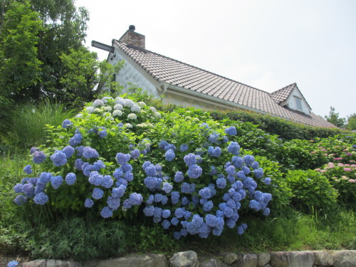 e0036108_09371593.jpg