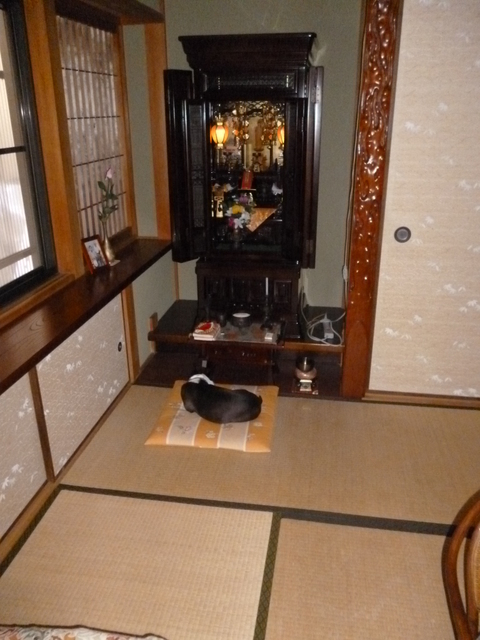 c0165909_1711176.jpg