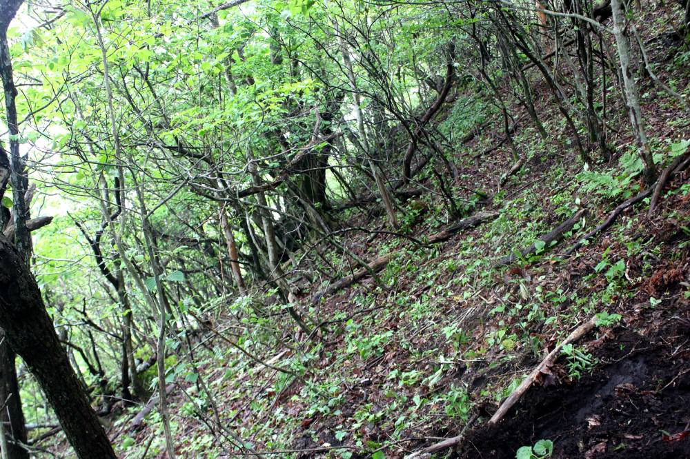 f0212511_0371255.jpg