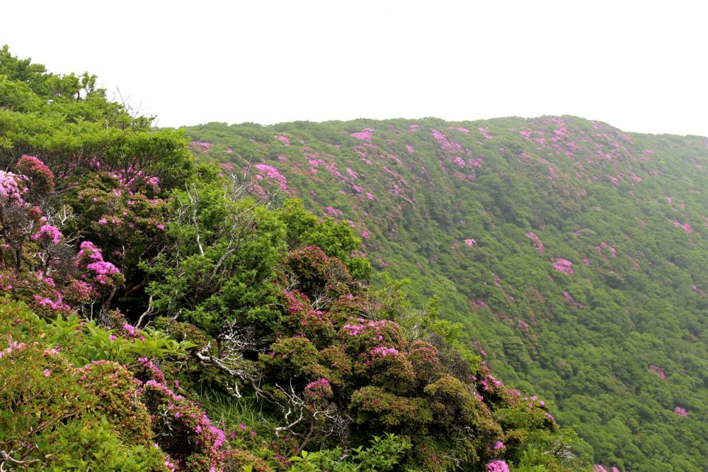 f0212511_0383280.jpg