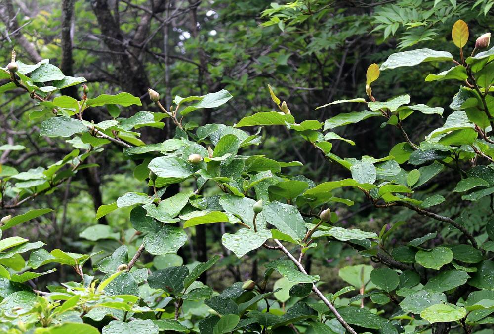 f0212511_0391734.jpg