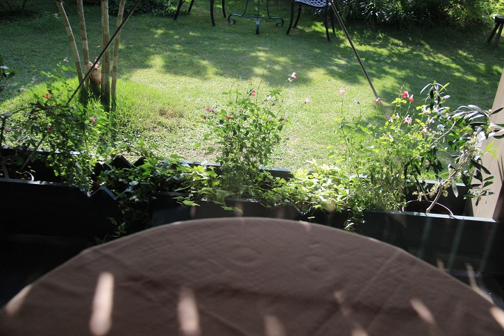 a0147813_0598.jpg