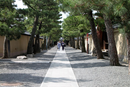 大徳寺 龍源院_e0048413_1942218.jpg