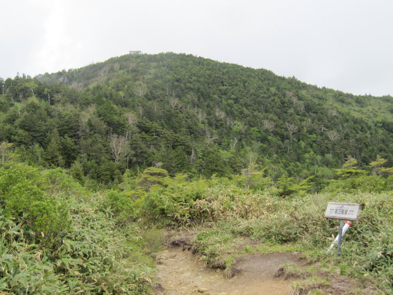 d0103314_00105727.jpg