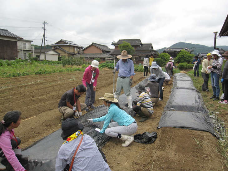 「野菜パワーで元気１００％」_d0122515_924322.jpg