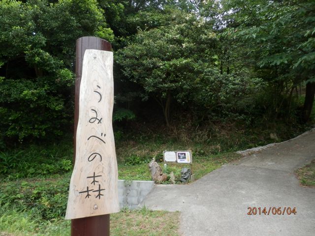 里海公園の中にある「うみべの森」　　　　by　　　(tannowa)_a0316716_21292113.jpg