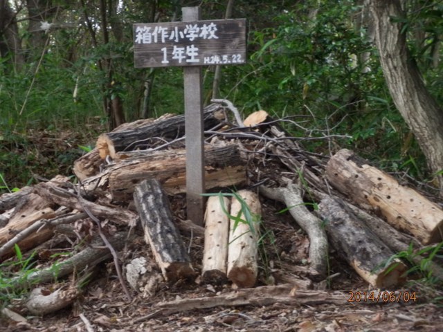 里海公園の中にある「うみべの森」　　　　by　　　(tannowa)_a0316716_21292142.jpg