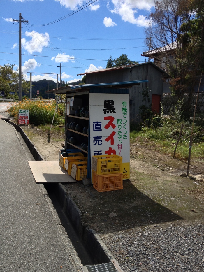 6/10 本日の入荷_d0179518_15495422.jpg