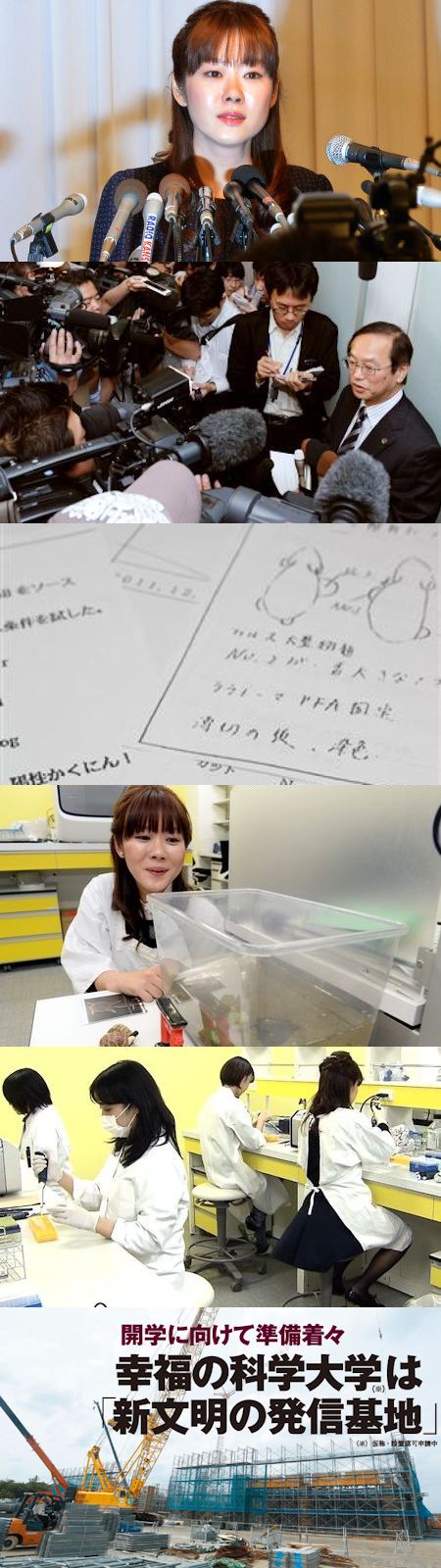 小保方擁護派の心理 - 無知と決めつけ、ゲームと博打、疑似科学とカルト_c0315619_16584624.jpg