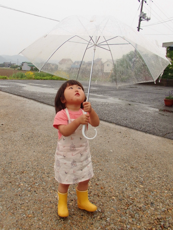 雨の季節です。_a0274324_1644376.jpg