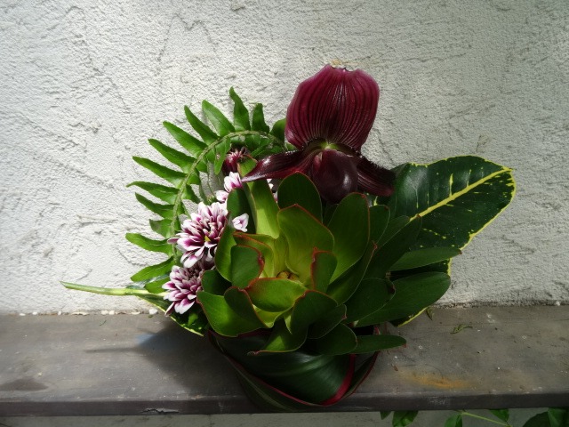 マッハ_c0102228_2315133.jpg