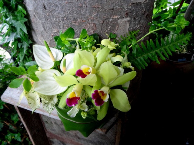 マッハ_c0102228_2343769.jpg