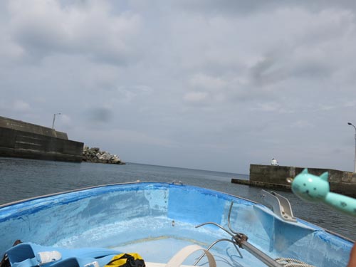 2014年6月10日(火・曇り)室戸_d0164831_1657345.jpg