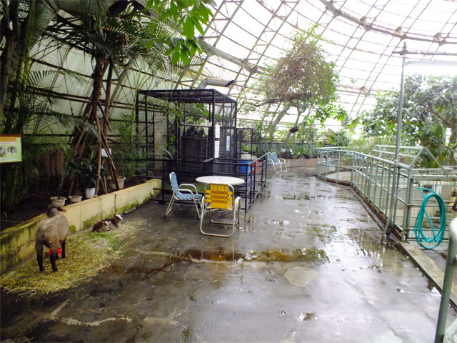 梅雨入り熱帯圏♪_a0179837_1950343.jpg
