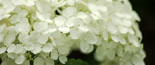b0283437_165111100.jpg