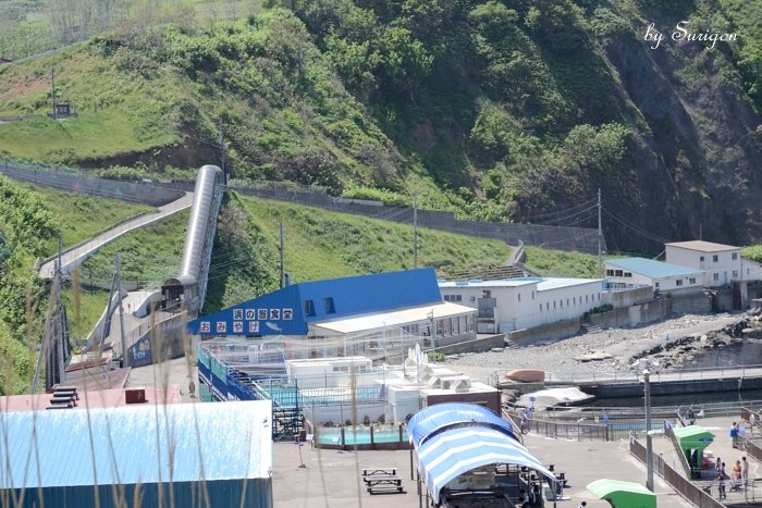 水族館を上から見る_b0232741_1392442.jpg