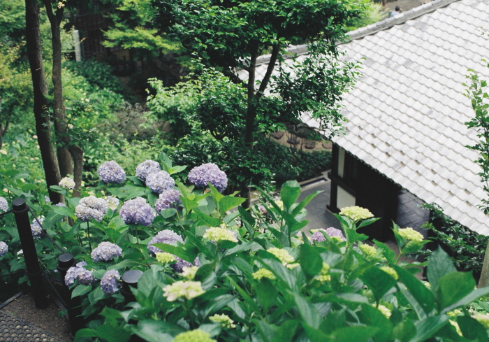 c0199146_2124221.jpg