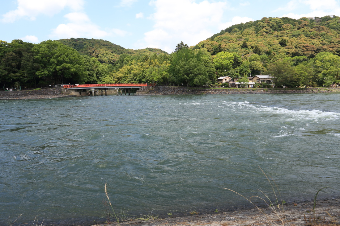 d0110849_2014099.jpg