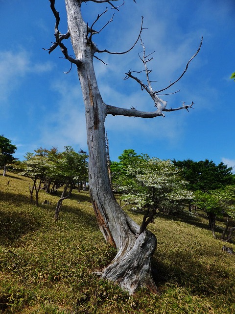 d0048350_20562913.jpg