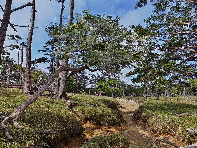 d0048350_20565685.jpg