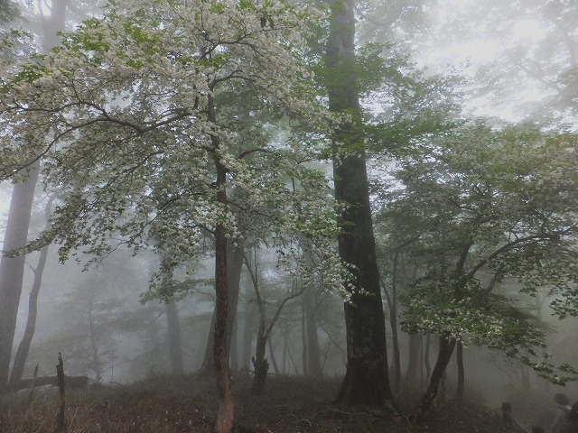 d0048350_205719100.jpg
