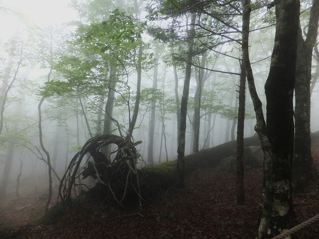 d0048350_2057392.jpg