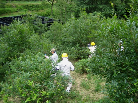 f0342250_19472330.jpg