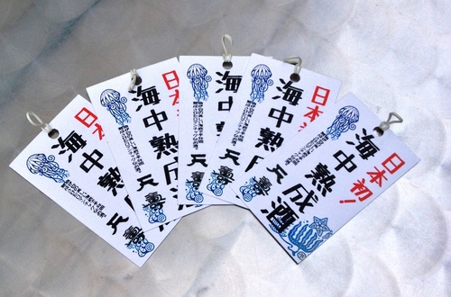 天寿純米酒、南伊豆の海で…。_b0308353_1534625.jpg