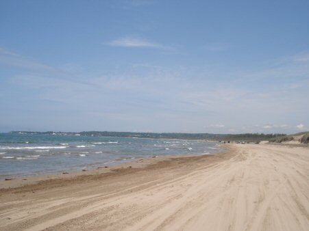 f0329554_16451731.jpg
