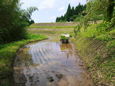 菊池水源棚田米 三日月形の田んぼを匠の田植え!その3_a0254656_17551227.jpg
