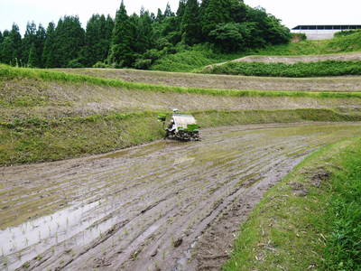 菊池水源棚田米 三日月形の田んぼを匠の田植え!その3_a0254656_17593894.jpg