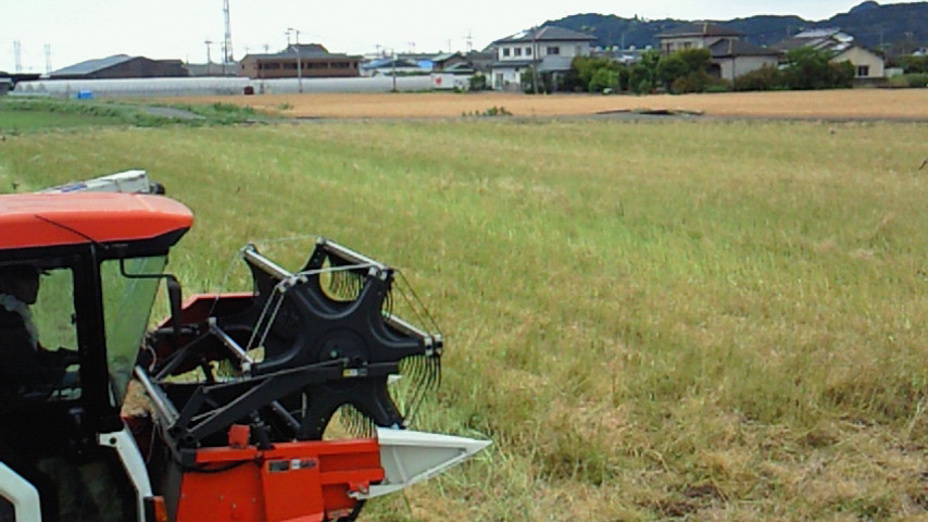 a0169558_217164.jpg
