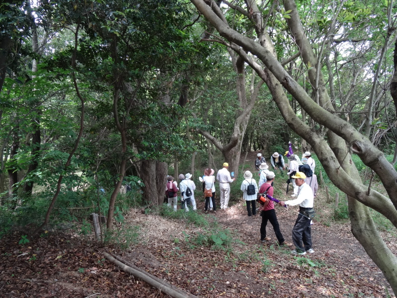 淡輪長生会「ササユリ観賞＆植樹」   in　　うみべの森_c0108460_18141374.jpg