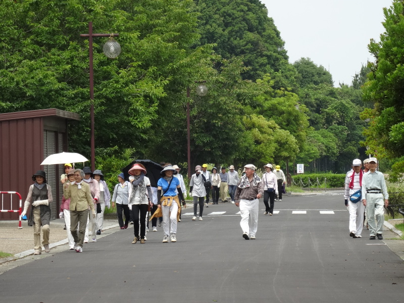 淡輪長生会「ササユリ観賞＆植樹」   in　　うみべの森_c0108460_18141543.jpg