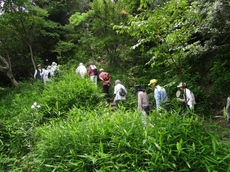 淡輪長生会「ササユリ観賞＆植樹」   in　　うみべの森_c0108460_18141713.jpg