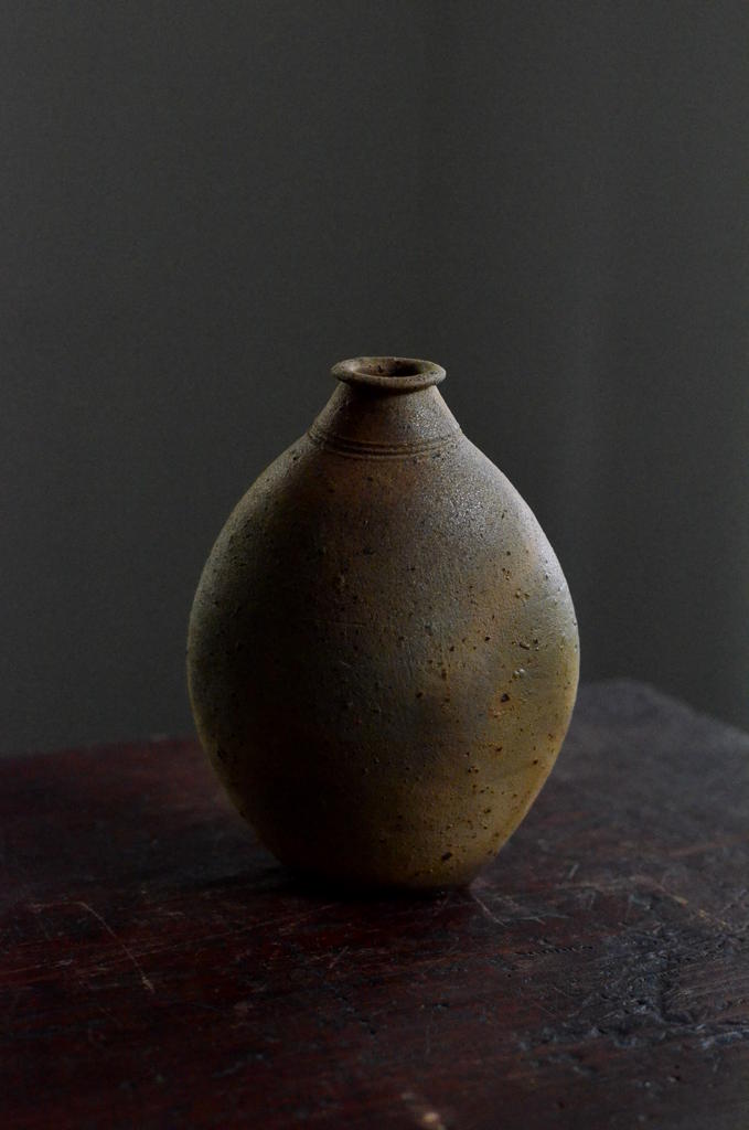 「野口悦士展 おいしい焼締め」 注器・酒器_d0087761_23281447.jpg