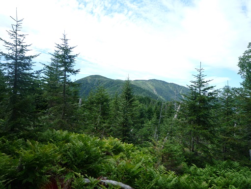 c0273271_10564461.jpg