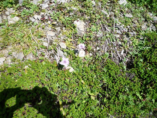 c0273271_1105847.jpg