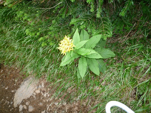 c0273271_1144498.jpg