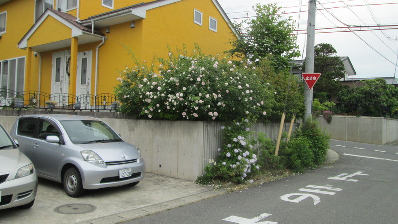 前記、2014-05-17のアップルさんコンサートの訂正。_d0159273_12243971.jpg
