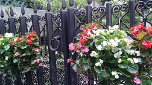 e0212073_2311553.jpg
