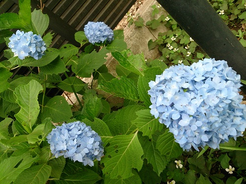 e0212073_232475.jpg