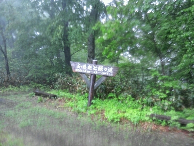 e0255775_1383732.jpg