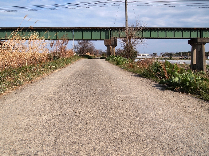 高徳線吉野川橋梁_f0116479_13125540.jpg